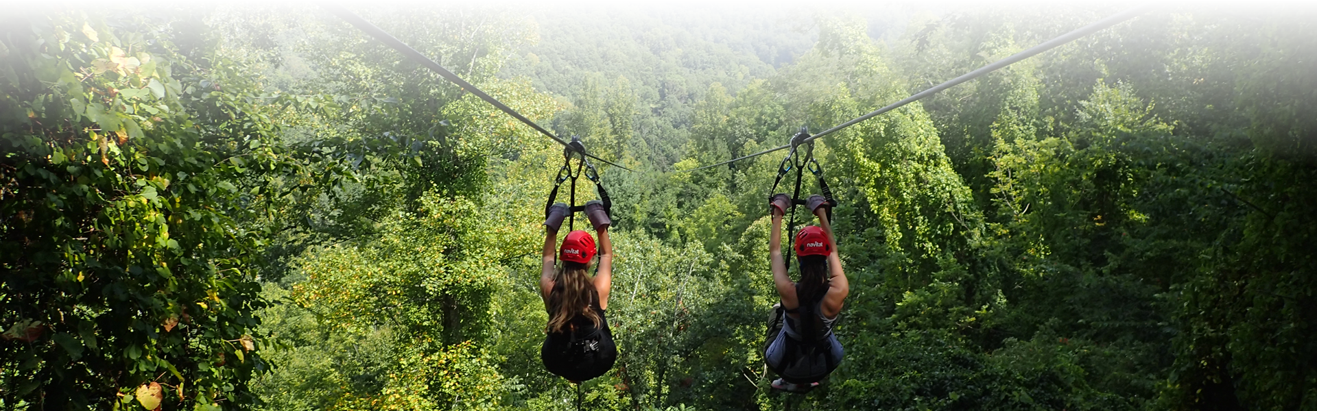 Two women ziplining down towards an area filled with trees
